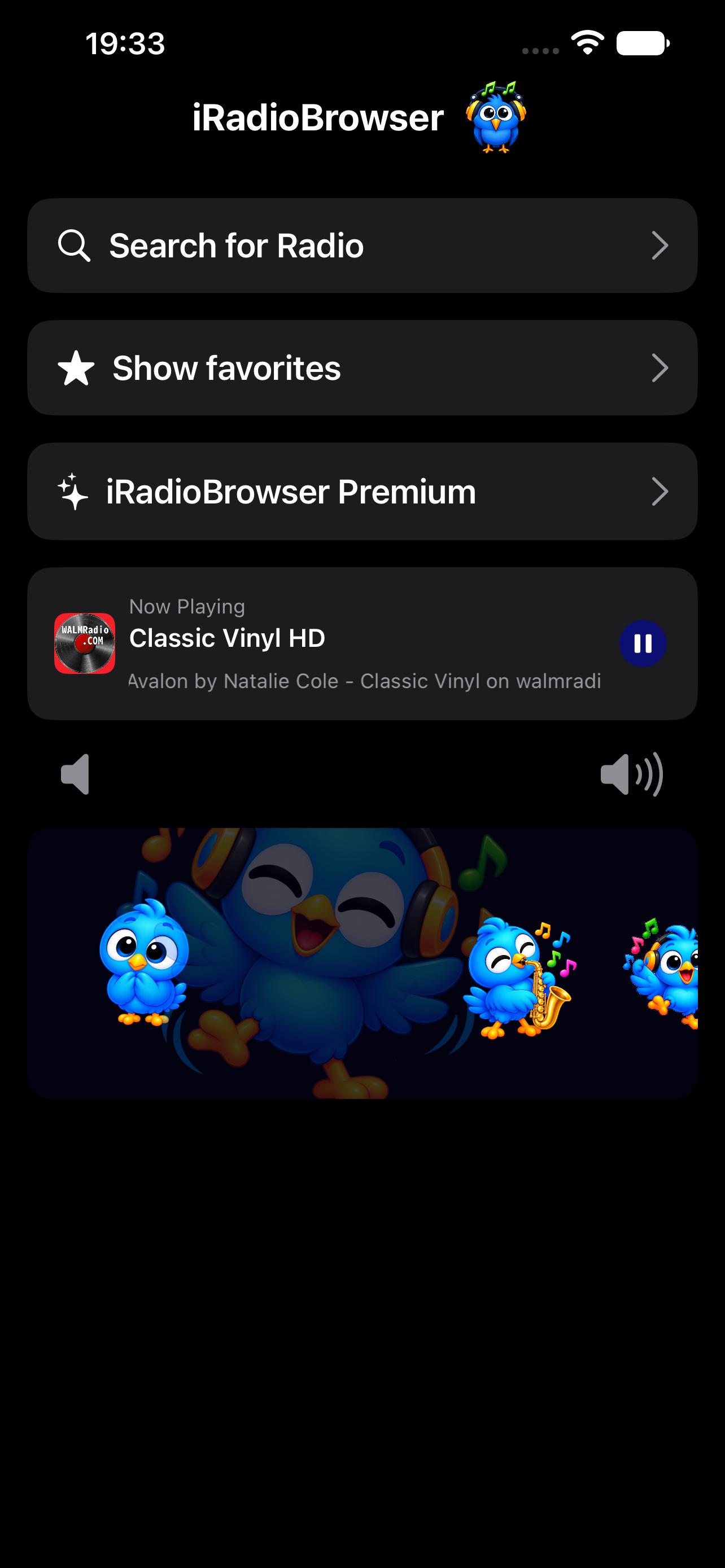 iRadioBrowser station search on iPhone